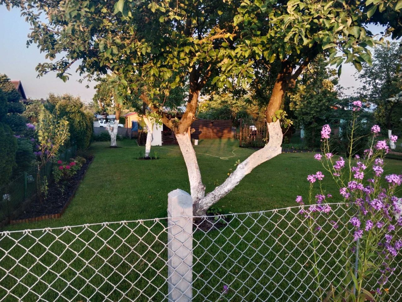 Działka rod Szczecin Krzekowo, ul. Waleriana Łukasińskiego. Zdjęcie 2