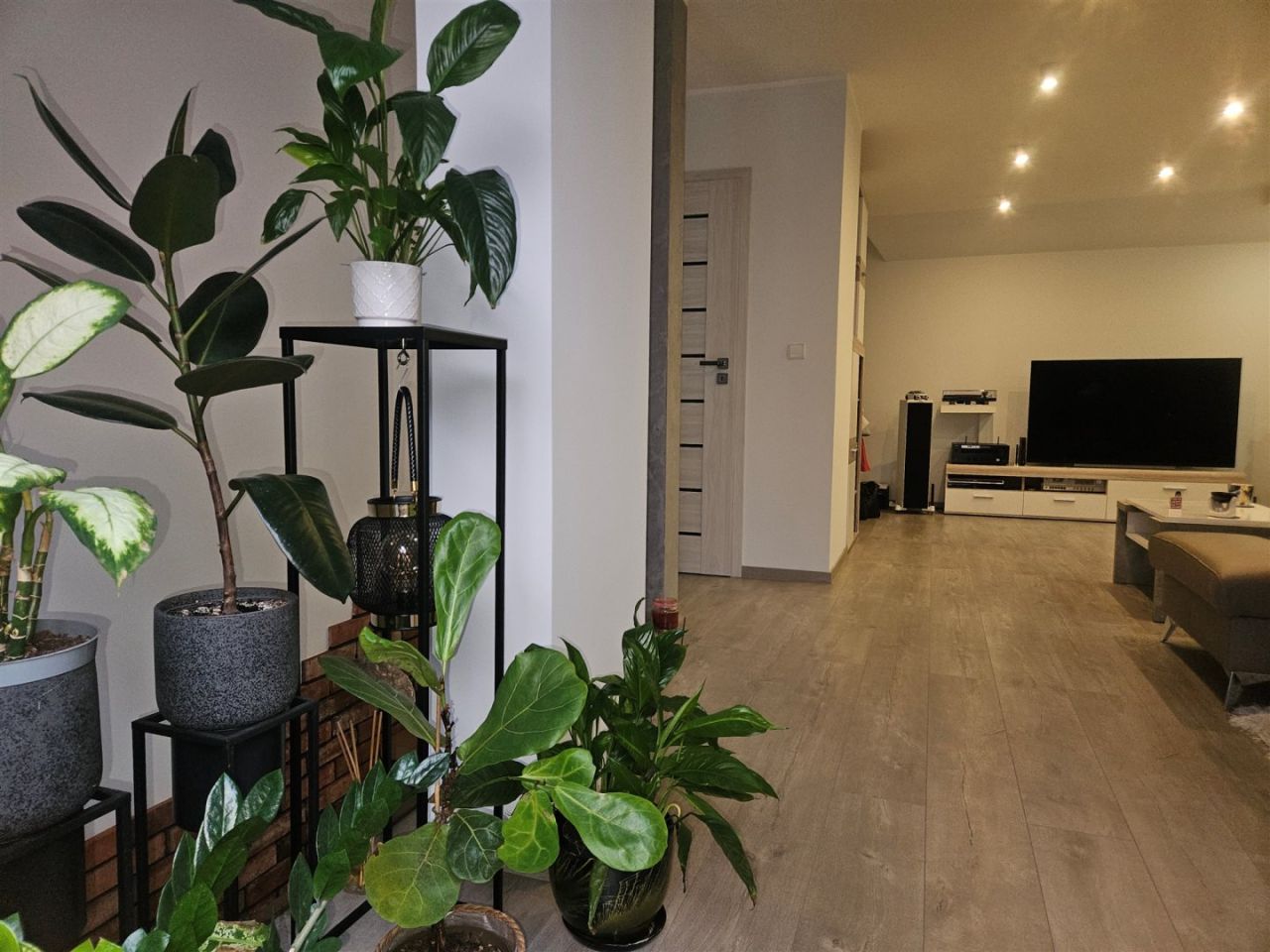 Mieszkanie 3-pokojowe Świebodzice. Zdjęcie 11