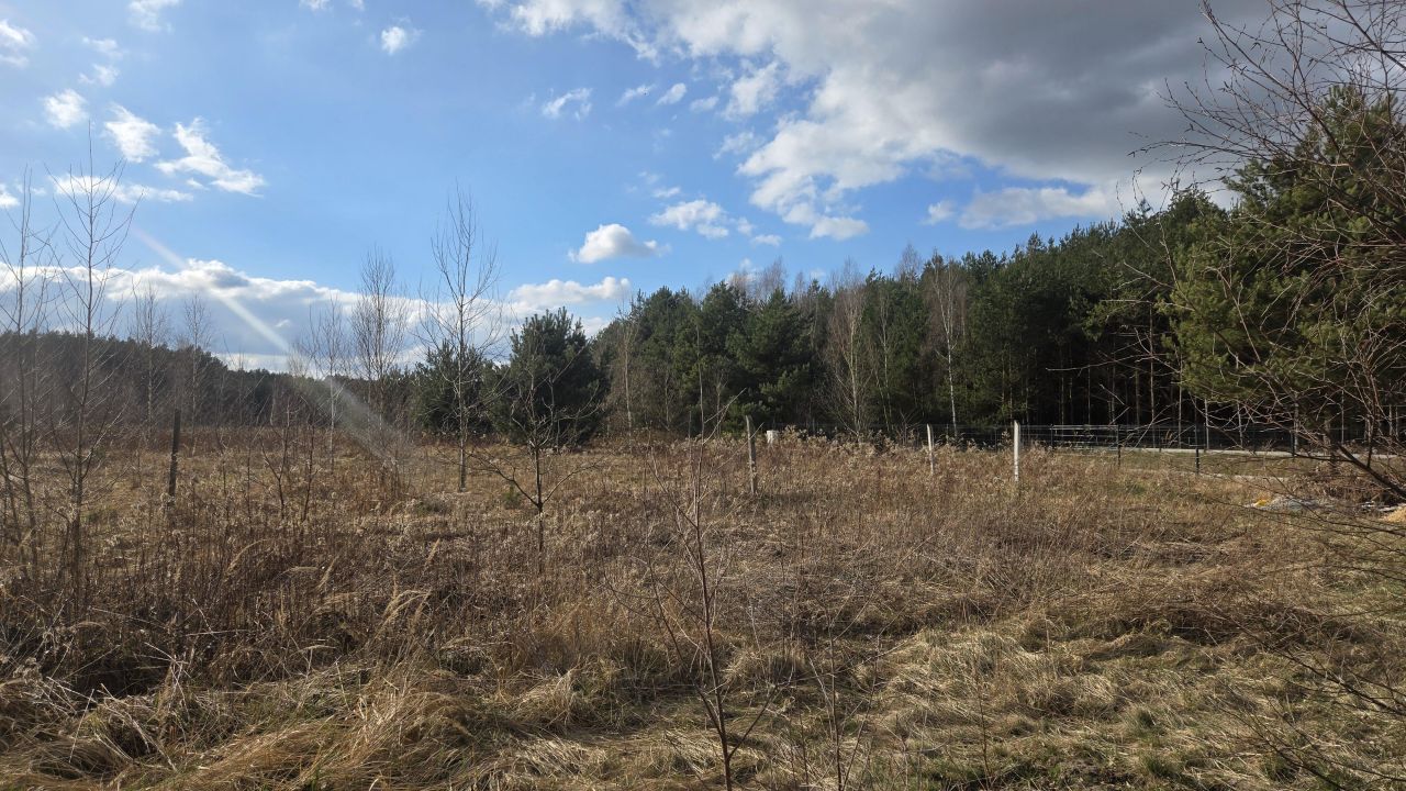 Działka rekreacyjna Leśna, ul. Letniskowa. Zdjęcie 5