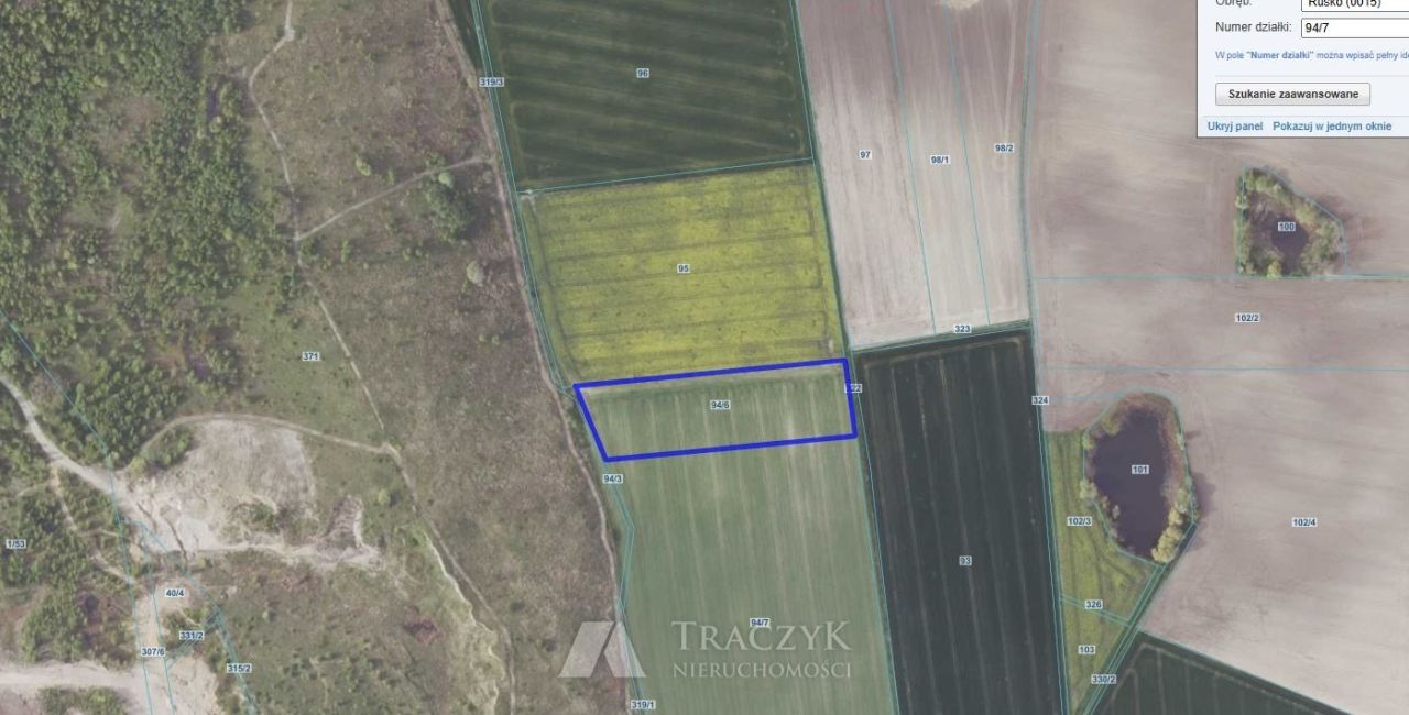 Działka rolna Rusko. Zdjęcie 15