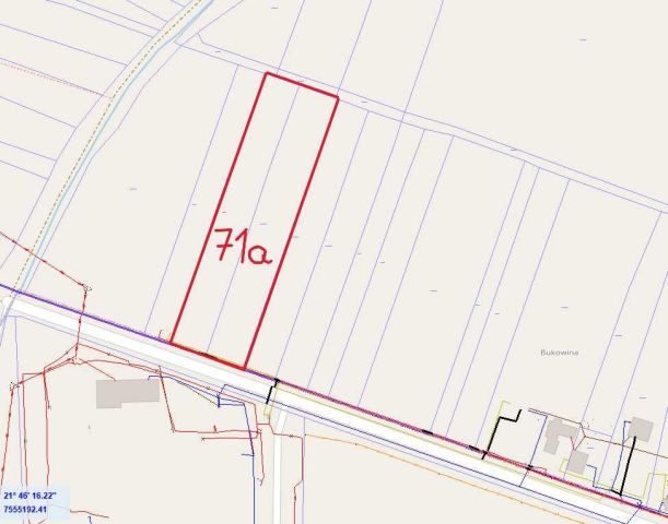 Działka inwestycyjna Krzywa. Zdjęcie 1