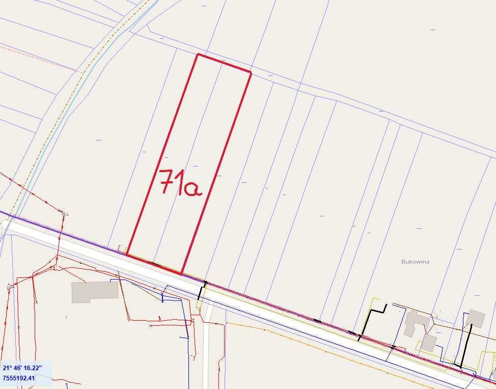 Działka inwestycyjna Krzywa. Zdjęcie 1
