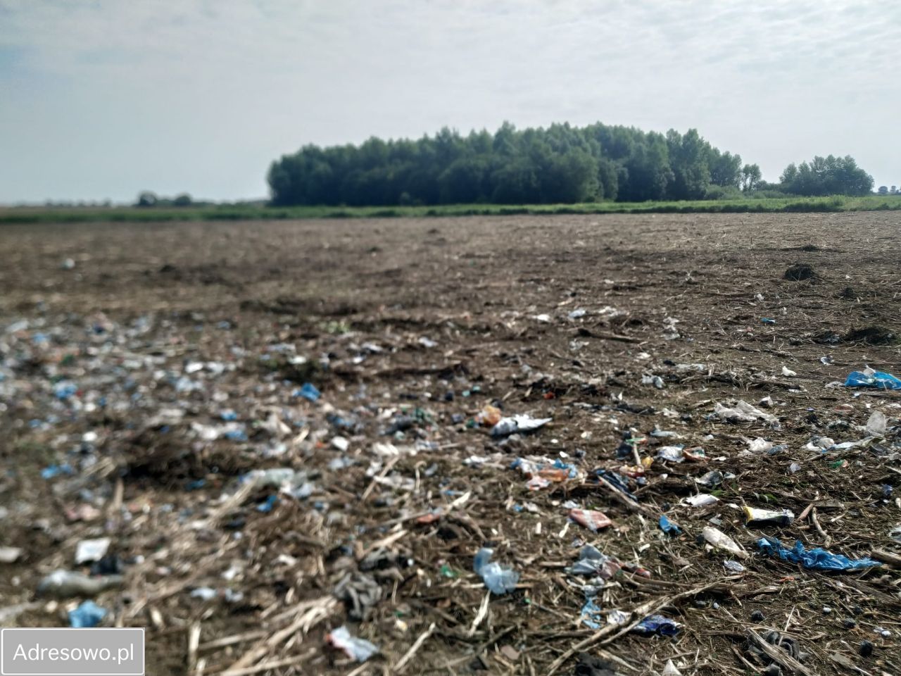 Działka inwestycyjna Wilczkowice. Zdjęcie 4