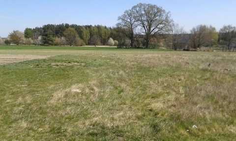 Działka budowlana Stare Strącze. Zdjęcie 3
