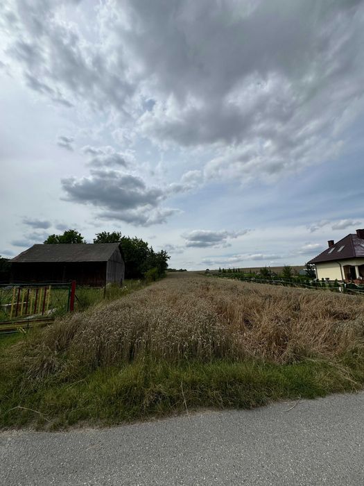 Działka budowlana Wola Więcławska. Zdjęcie 4