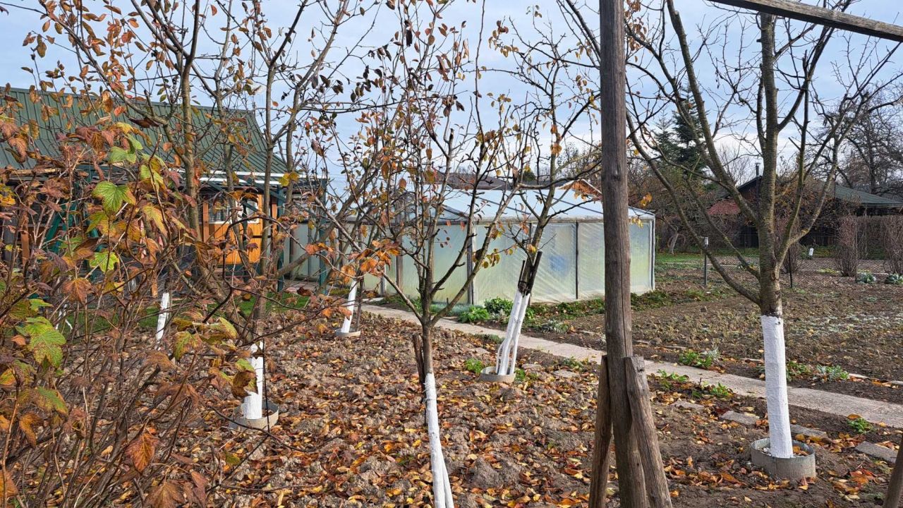 Działka rod Biłgoraj. Zdjęcie 5