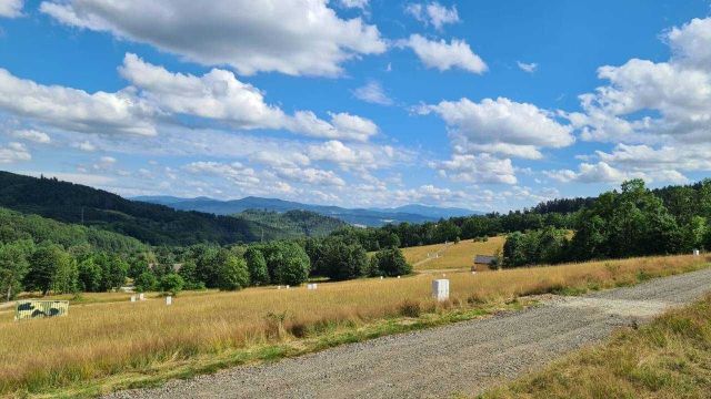 Działka budowlana Wilcza. Zdjęcie 1