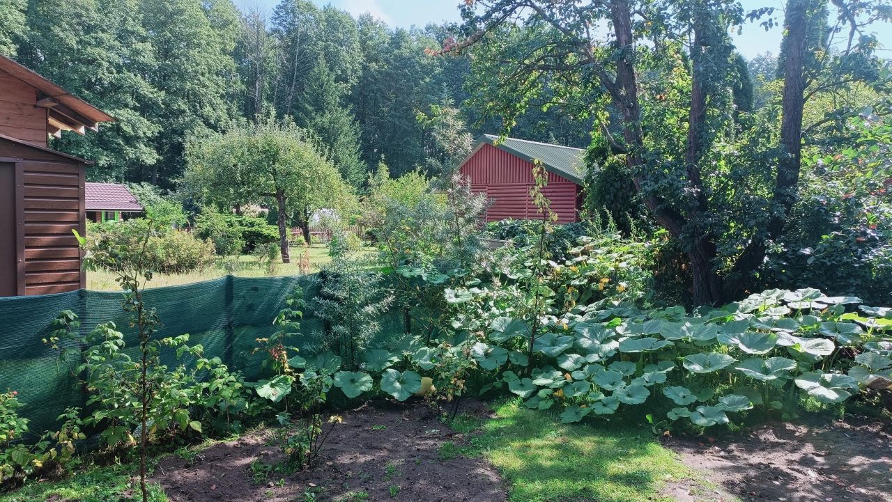 Działka rod Białystok Wygoda, ul. 42 Pułku Piechoty. Zdjęcie 6