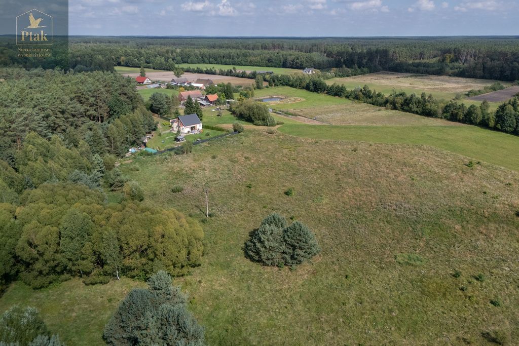 Działka rolna Obrzycko. Zdjęcie 13