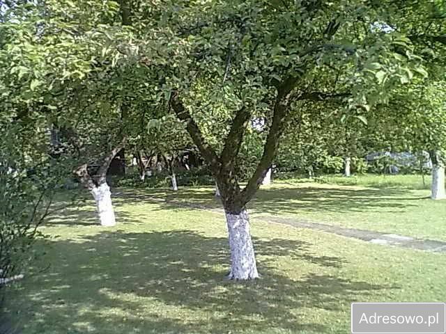 Działka rod Wrocław Fabryczna. Zdjęcie 6