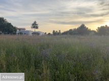 Działka rolno-budowlana Radziwiłłów. Zdjęcie 4