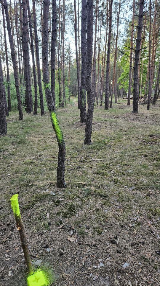 Działka budowlana Solec Kujawski, ul. Garbary. Zdjęcie 9