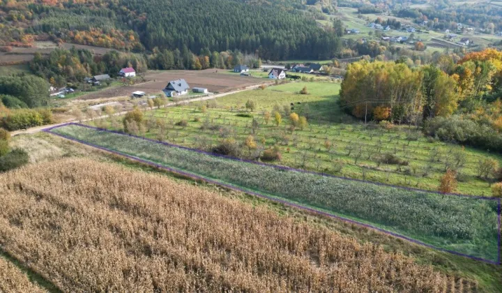 Działka rolno-budowlana Pruchnik Pruchnik Górny, ul. Miodowa