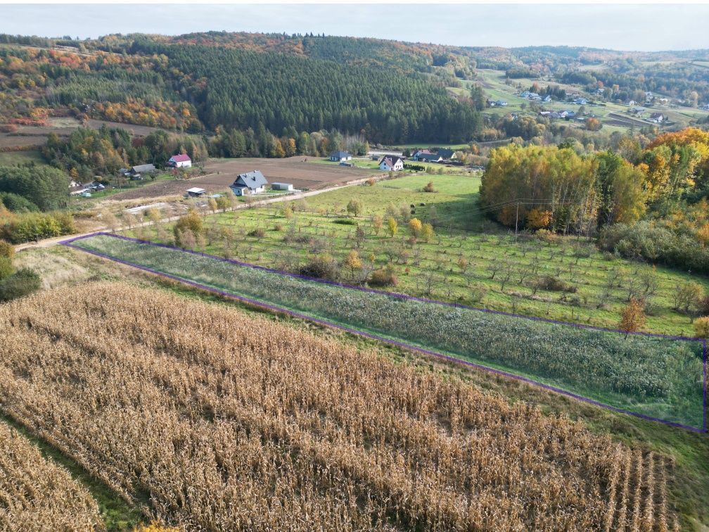 Działka rolno-budowlana Pruchnik Pruchnik Górny, ul. Miodowa. Zdjęcie 1