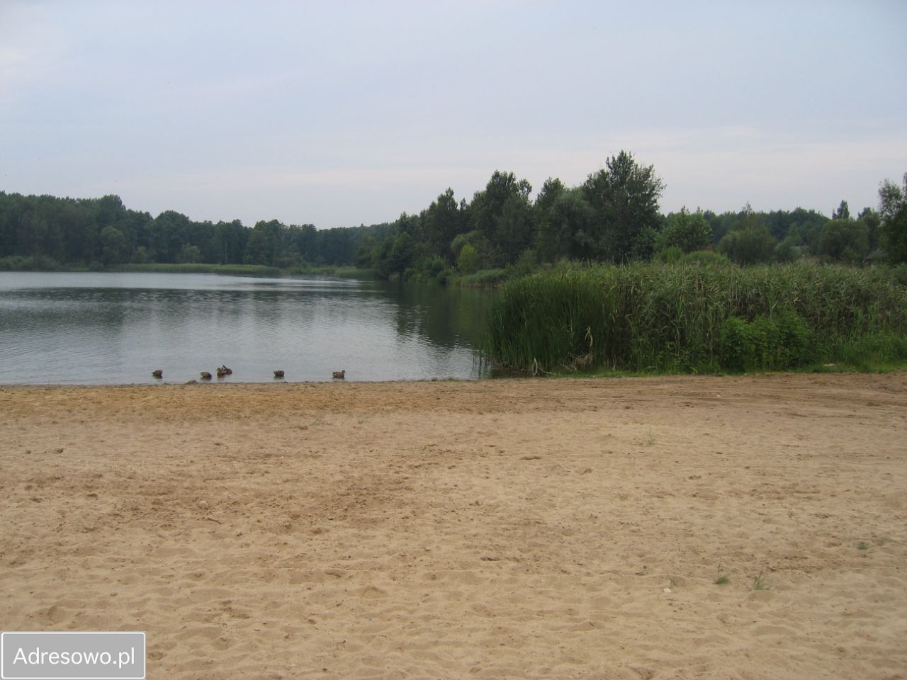 Działka budowlana Sieniawka, ul. Akwen