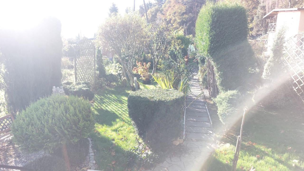 Działka rod Tychy Żwaków, ul. Zrębowa. Zdjęcie 3