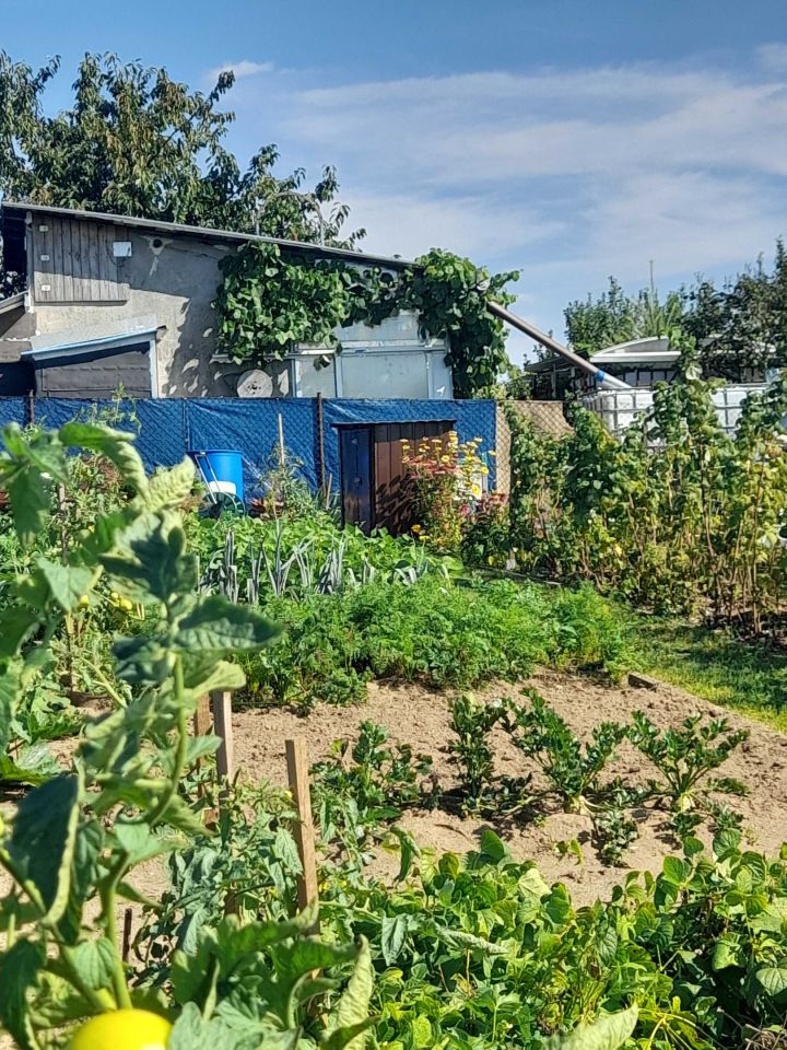 Działka rod Kobyla Góra, ul. Ogrodowa. Zdjęcie 3