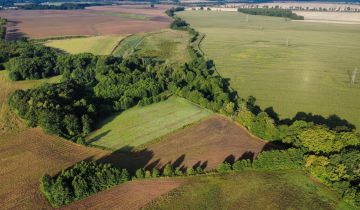 Działka rolna Kierzkowo