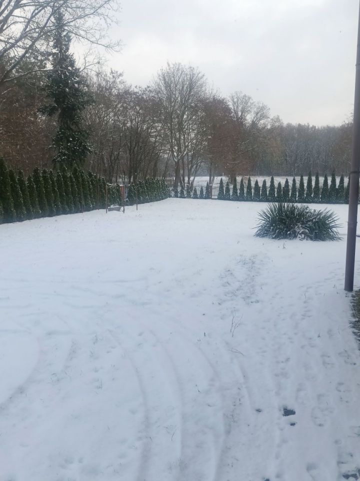 bliźniak Rów. Zdjęcie 5