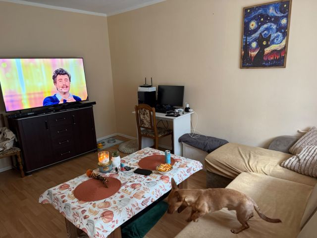 Mieszkanie 2-pokojowe Dębno, ul. Piasta. Zdjęcie 2