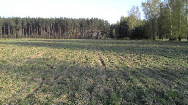 Działka rolna Jaroszewy. Zdjęcie 1