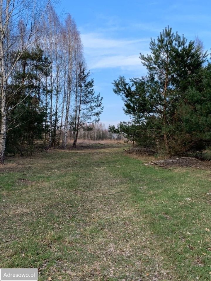 Działka rolno-budowlana Wola Polska. Zdjęcie 2