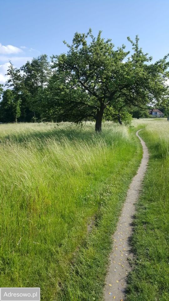 Działka inwestycyjna Żarki, ul. Koziegłowska. Zdjęcie 10