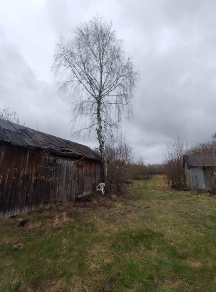 Działka rolna Wincentów. Zdjęcie 4