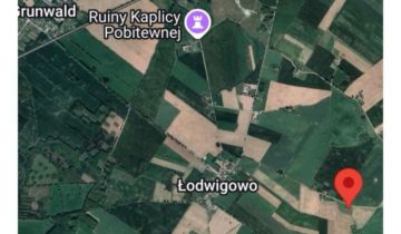 Działka rolna Łodwigowo