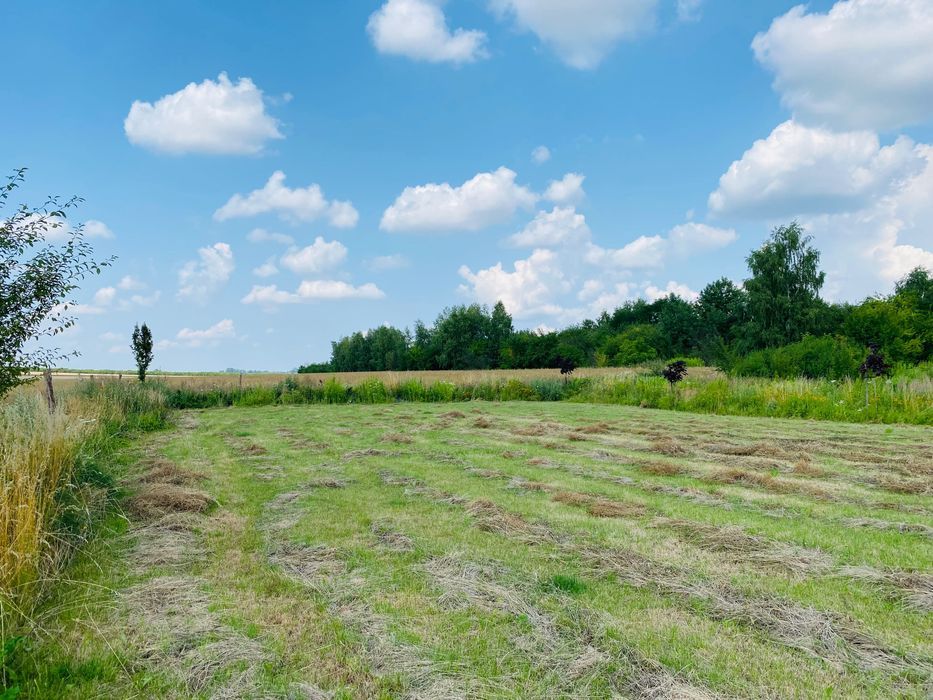 Działka budowlana Jędrzejów. Zdjęcie 7