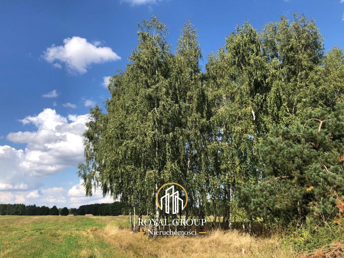 Działka siedliskowa Gołąb. Zdjęcie 6