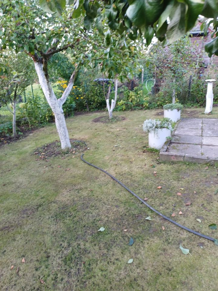 Działka rod Kwidzyn, ul. Furmańska. Zdjęcie 12