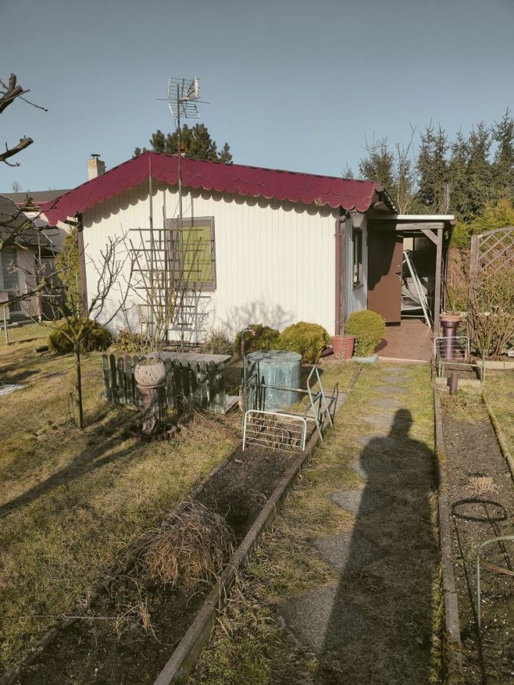 Działka rod Złotniki. Zdjęcie 2