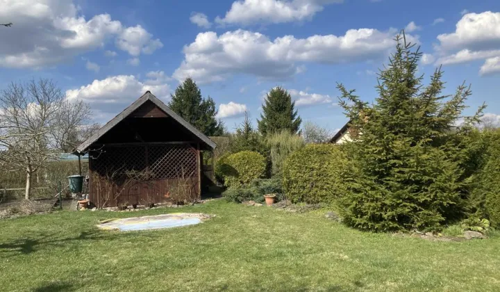 Działka rod Piła, ul. Różyckiego