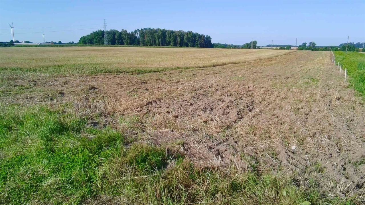 Działka rolna Golczewo. Zdjęcie 3