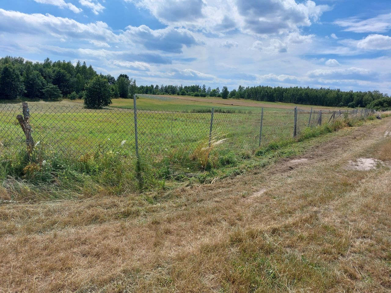 Działka rolna Białki Górne. Zdjęcie 4