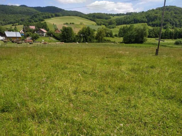 Działka budowlana Terka. Zdjęcie 1