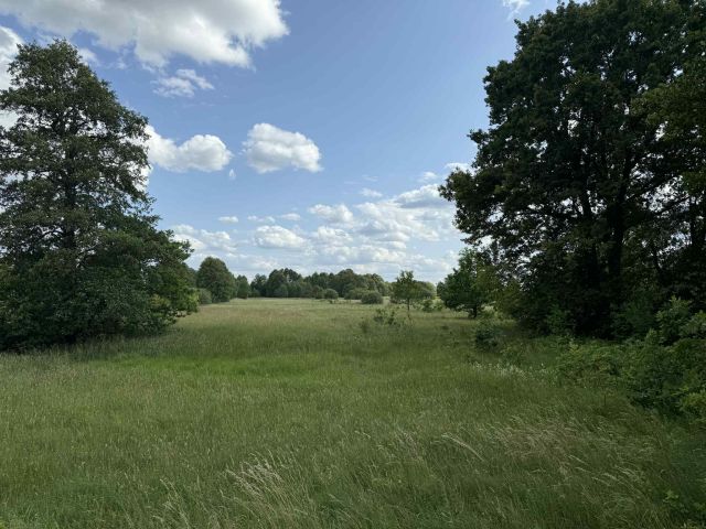 Działka rolno-budowlana Stare Budy. Zdjęcie 1