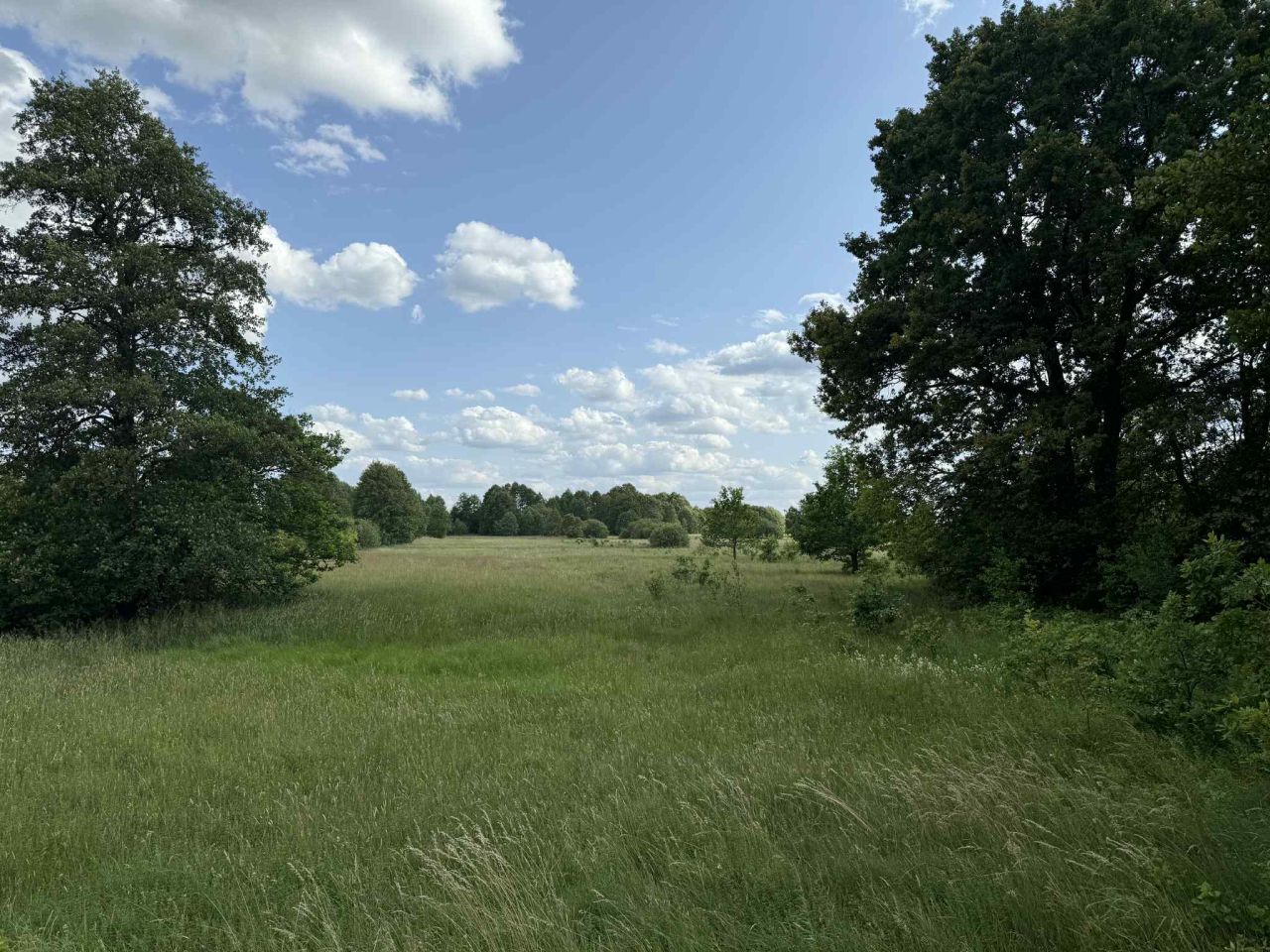 Działka rolno-budowlana Stare Budy