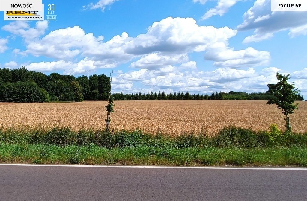 Działka budowlana Dębice. Zdjęcie 9