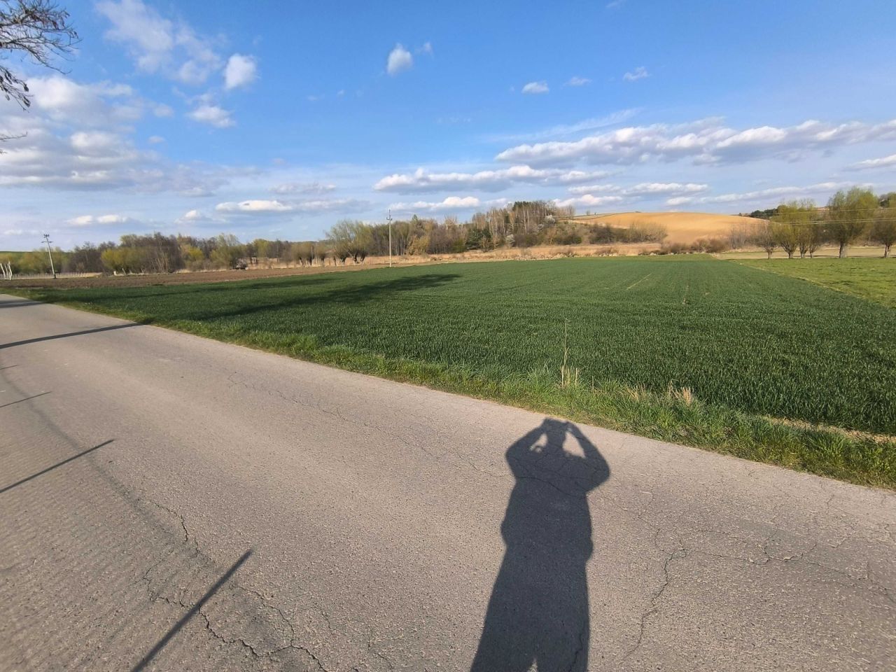 Działka siedliskowa Studzianki. Zdjęcie 5