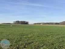 Działka siedliskowa Jaskółowo. Zdjęcie 4