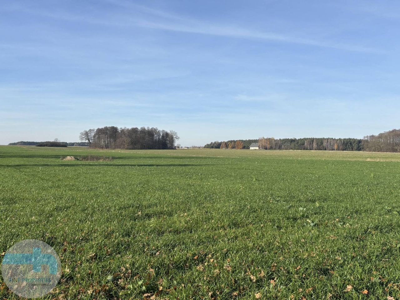 Działka siedliskowa Jaskółowo. Zdjęcie 6