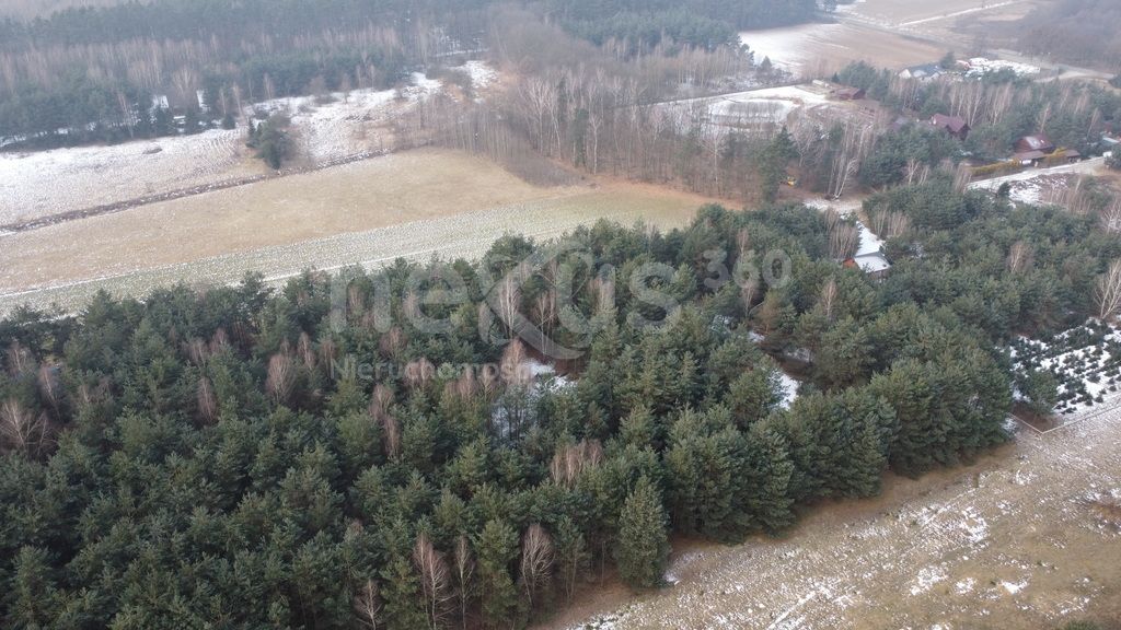 Działka budowlana Drogoszowice. Zdjęcie 8