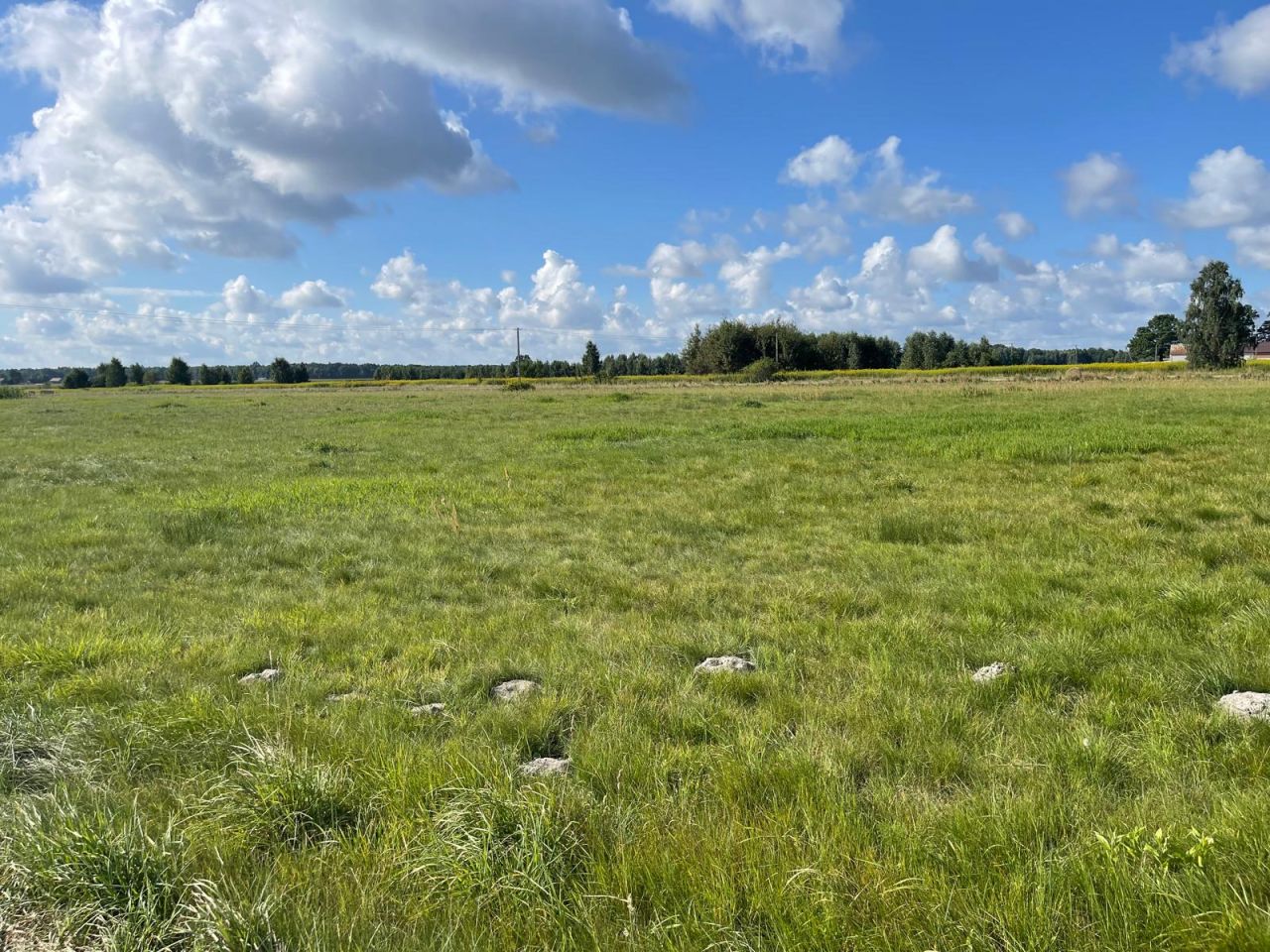 Działka budowlana Łąki. Zdjęcie 8