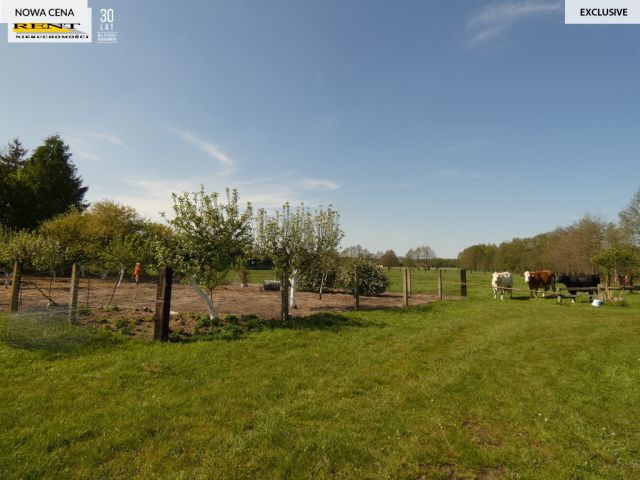 dom wolnostojący, 7 pokoi Budzieszewice. Zdjęcie 9