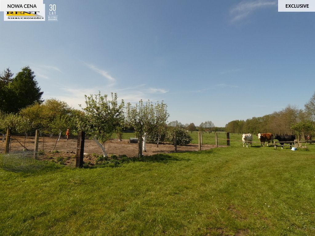 dom wolnostojący, 7 pokoi Budzieszewice. Zdjęcie 9