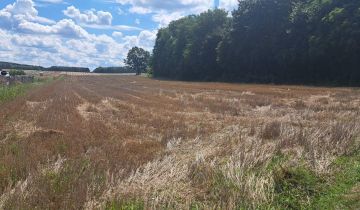 Działka budowlana Kraszkowice Dąbrowa, ul. Południowa