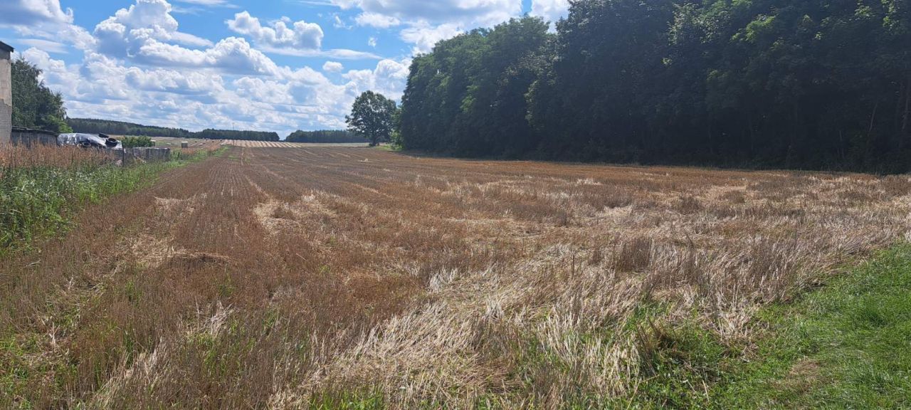 Działka budowlana Kraszkowice Dąbrowa, ul. Południowa. Zdjęcie 2