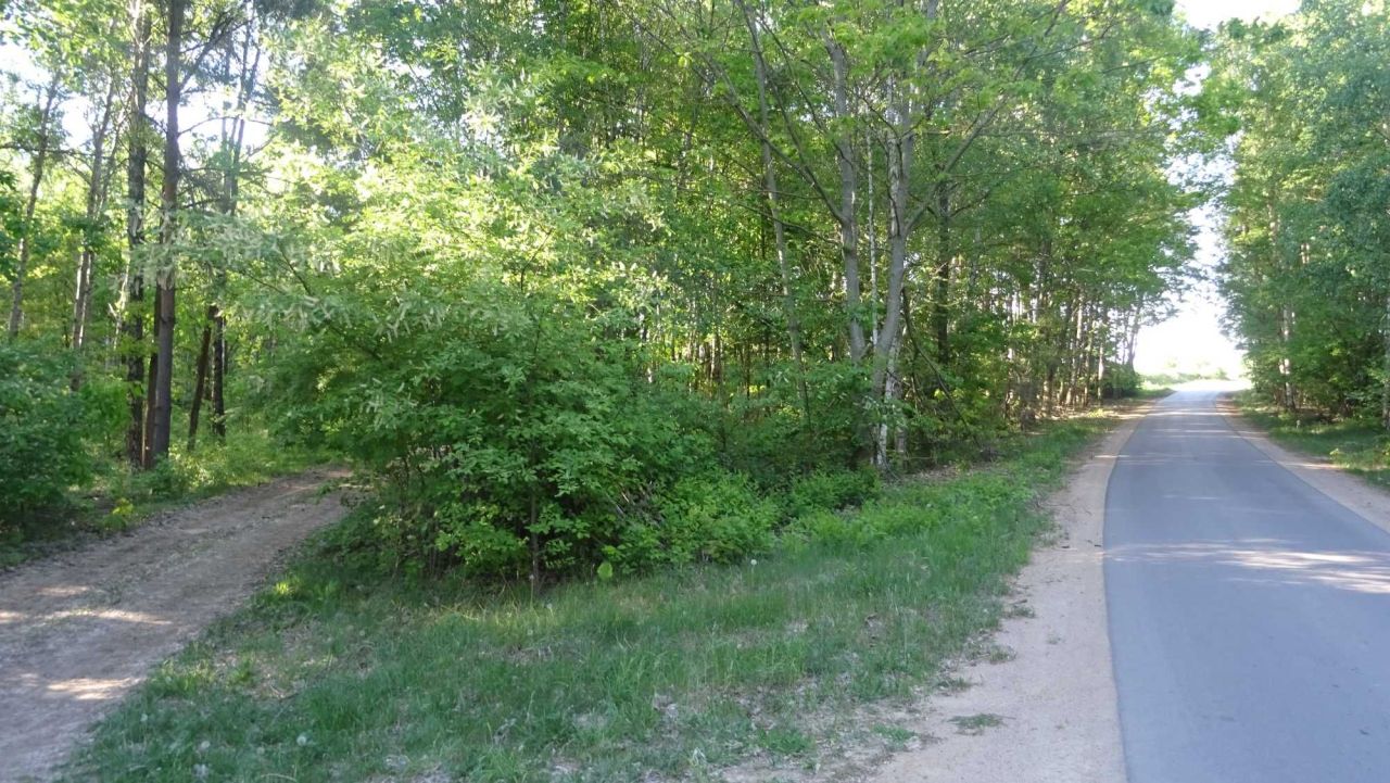 Działka leśna Sułkowo Borowe